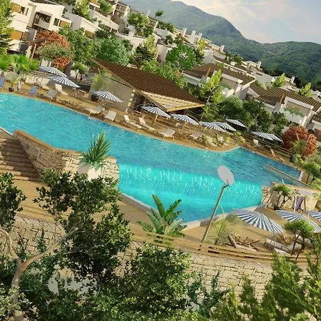 Long Hill * Tirana